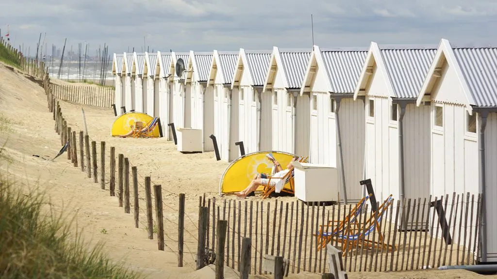 Wietzaden kopen Katwijk