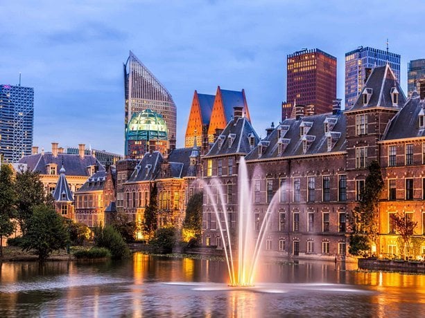 Wietzaden bestellen Den Haag